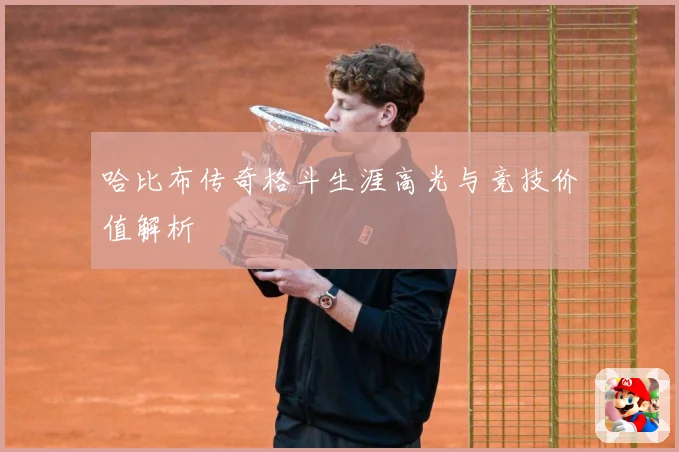 哈比布传奇格斗生涯高光与竞技价值解析